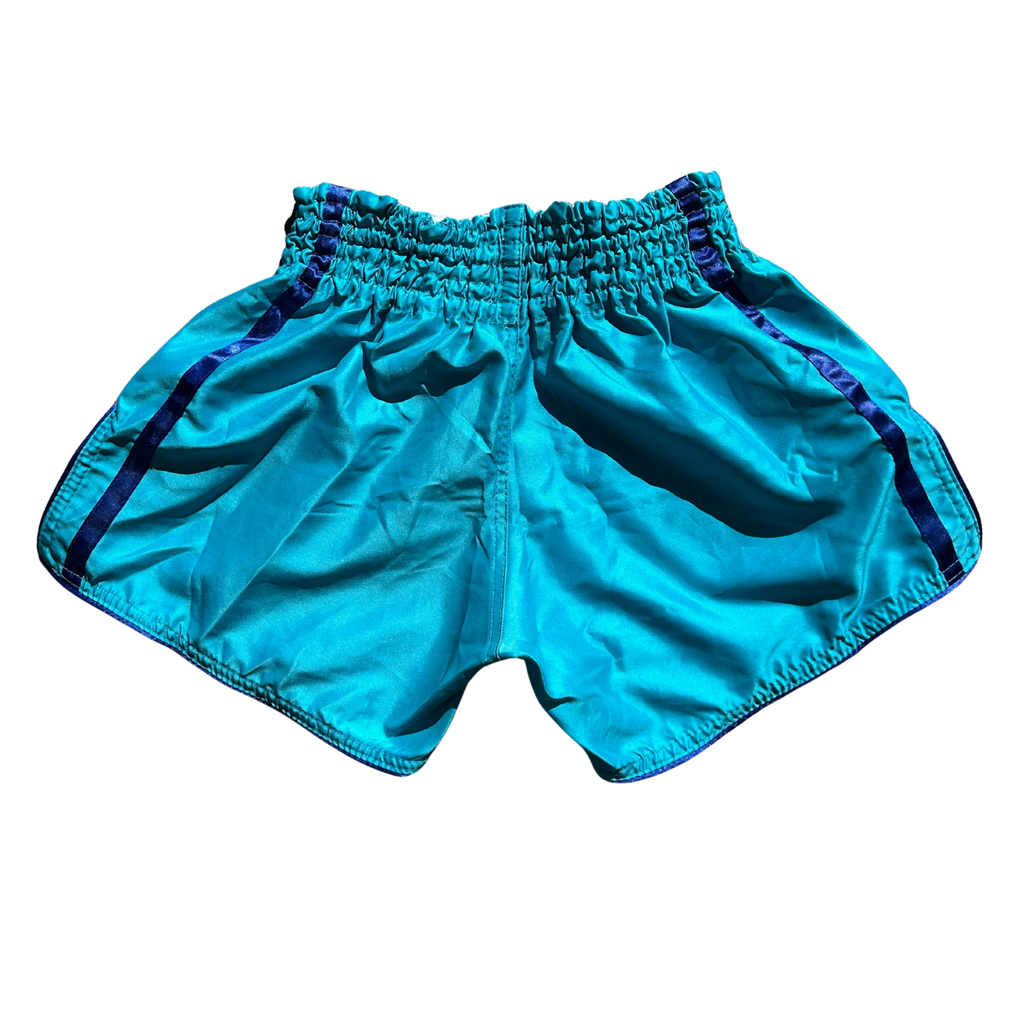 Turquoise shorts with purple accents on a white background