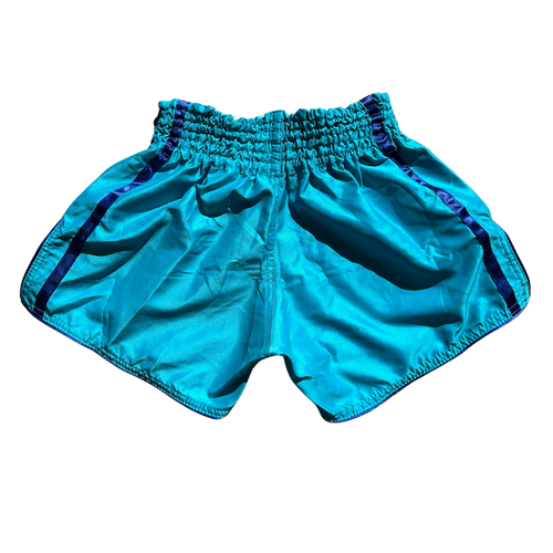 Turquoise shorts with purple accents on a white background